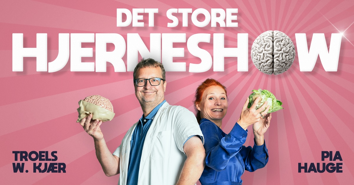 DET STORE HJERNESHOW