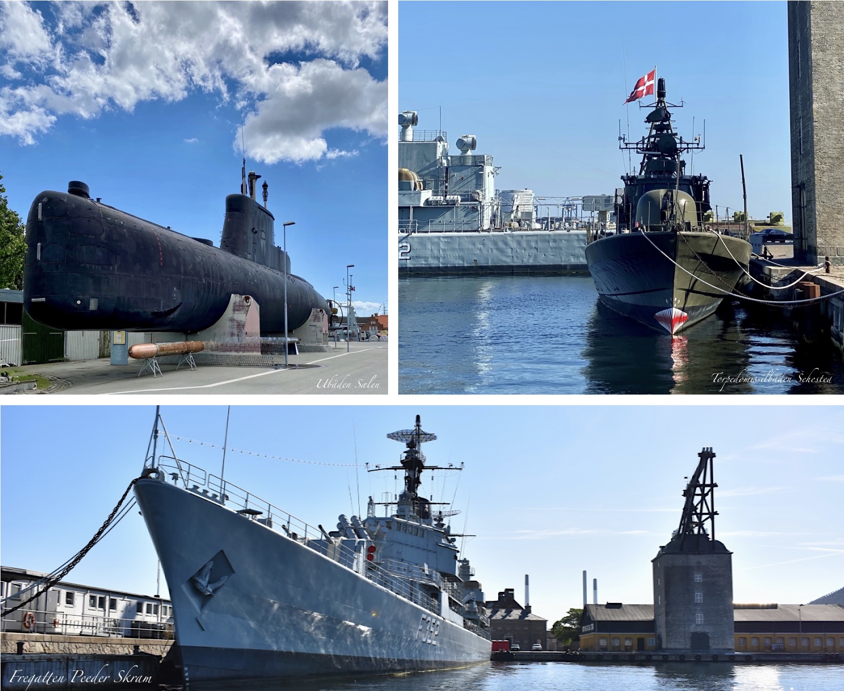 S&AElig;LEN & SEHESTED