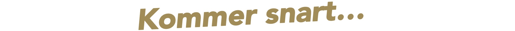 THE JULEKALENDER