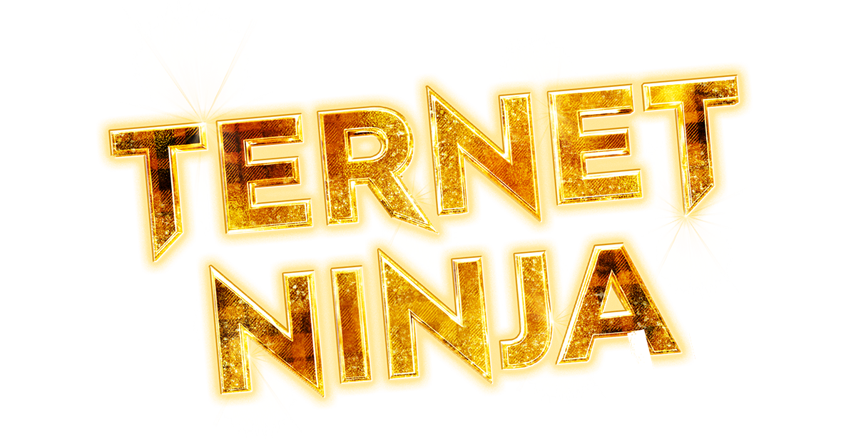 ternet hero logo 1